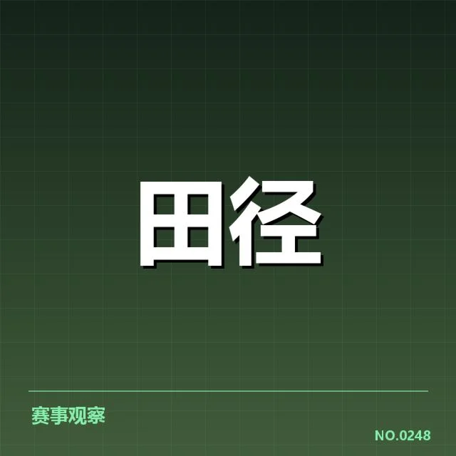权威赛事确认的具体判罚规则